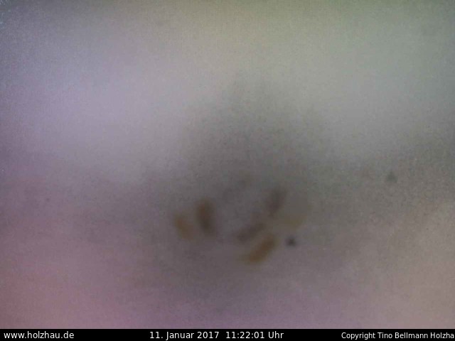 Webcam: Wetter Holzhau 11.01.2017 Webcam Holzhau am 11.01.2017 in Holzhau (Erzgebirge)