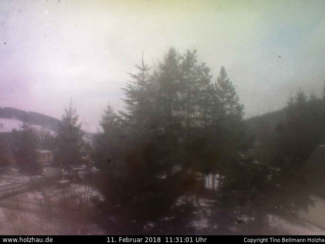 Webcam Holzhau am 11.02.2018 in Holzhau (Erzgebirge)