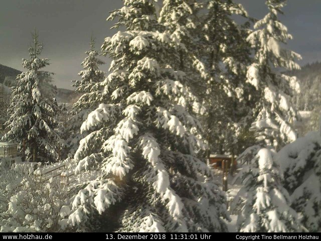 Webcam Holzhau am 13.12.2018 in Holzhau (Erzgebirge)