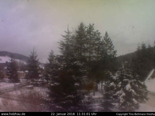 Webcam Holzhau am 22.01.2018 in Holzhau (Erzgebirge)