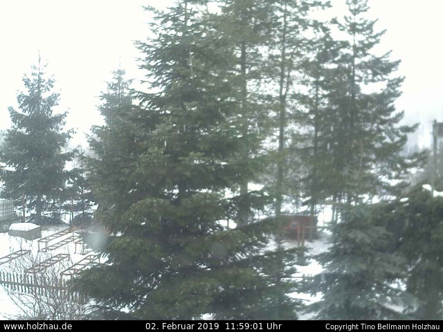 Webcam Holzhau am 02.02.2019 in Holzhau (Erzgebirge)