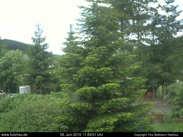 Webcam Holzhau am 08.06.2019 in Holzhau (Erzgebirge)