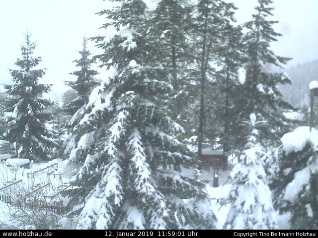 Webcam Holzhau am 12.01.2019 in Holzhau (Erzgebirge)